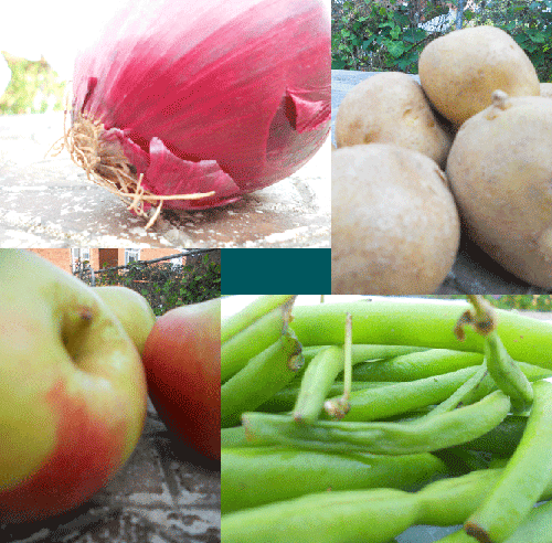 photos of produce